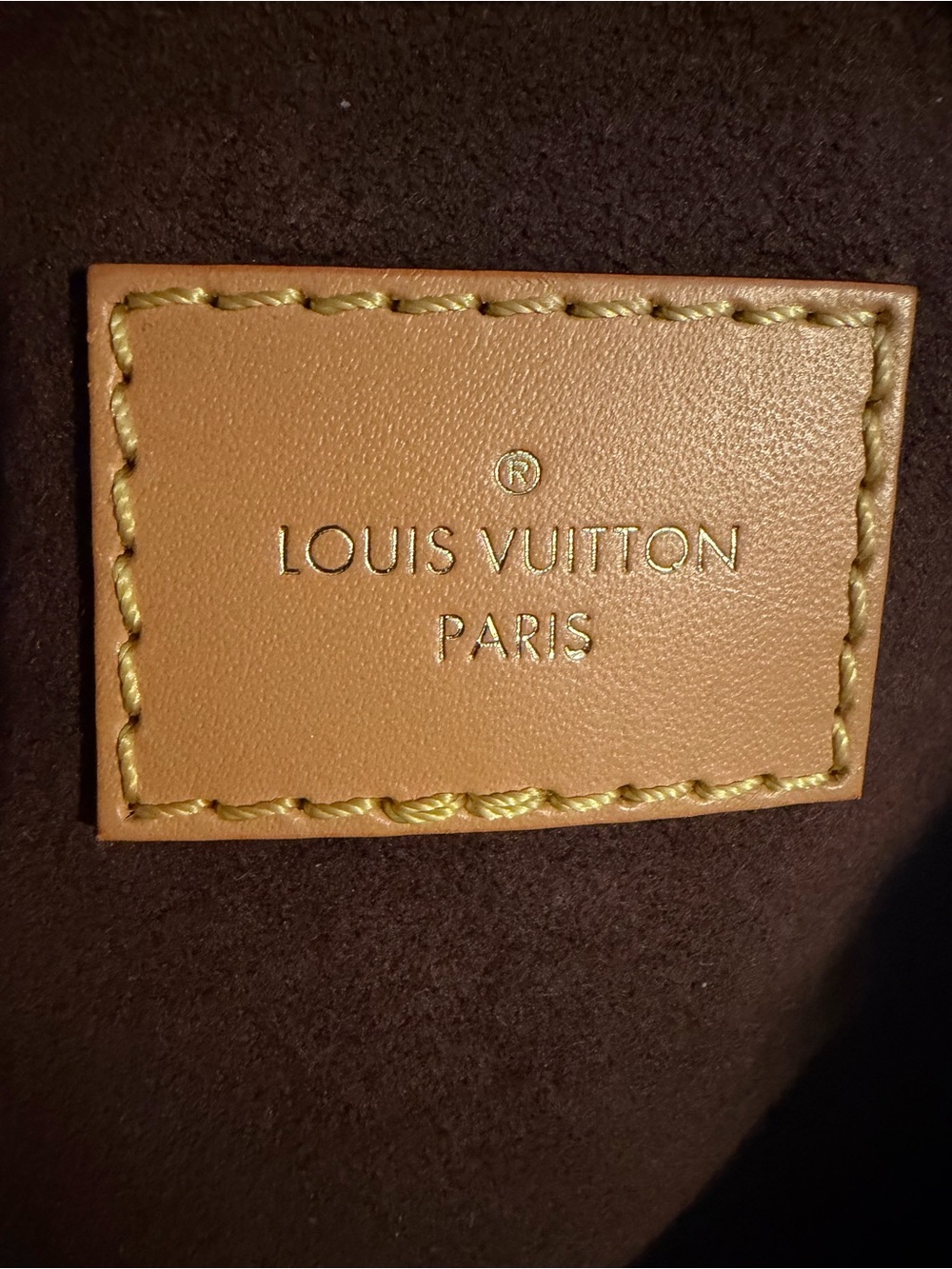 Louis Vuitton Monogram Mini Bag - Brown & Tan - Picture 12 of 13